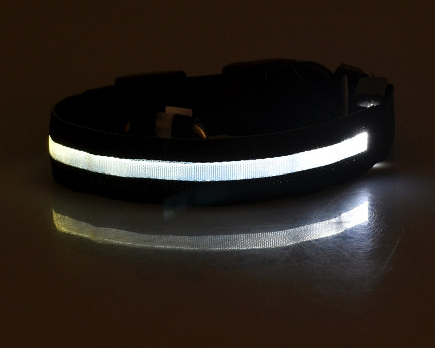 LED Dog Luminous Collar