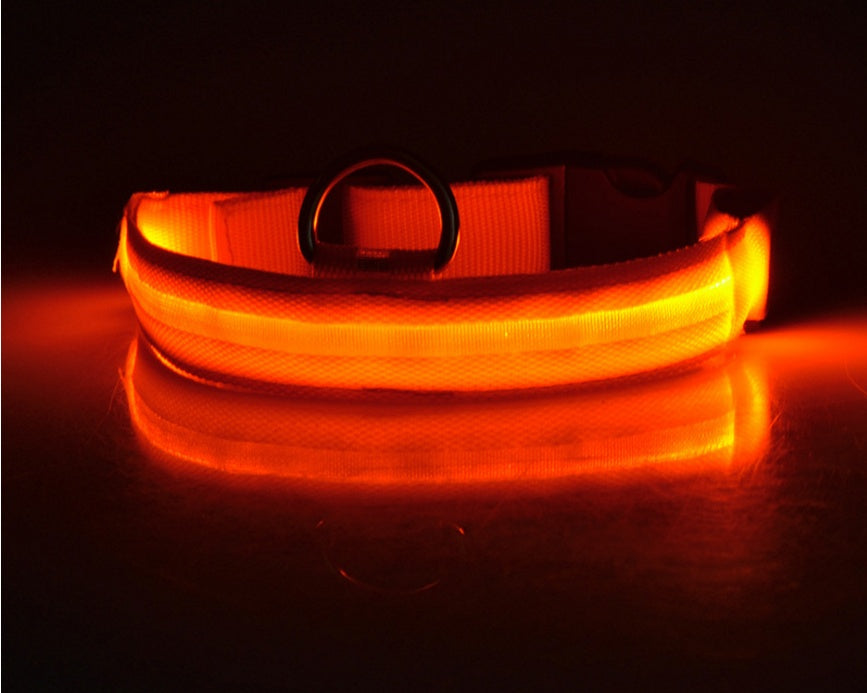 LED Dog Luminous Collar