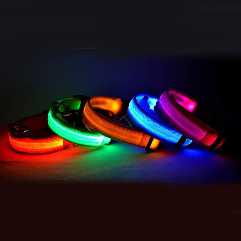 LED Dog Luminous Collar