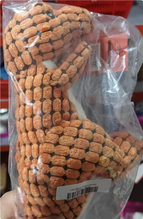 Dinosaur Dog Toy