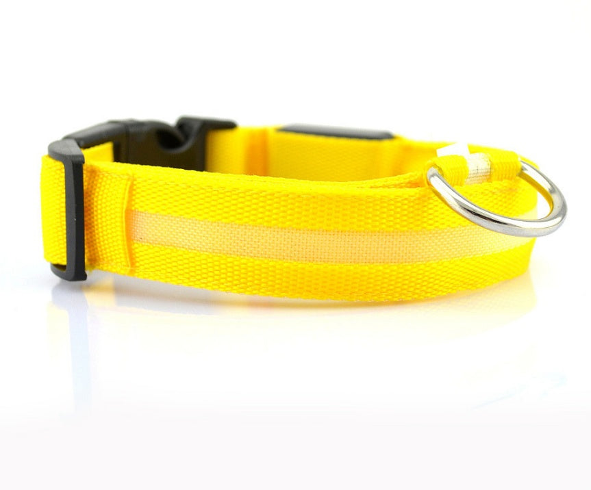 LED Dog Luminous Collar
