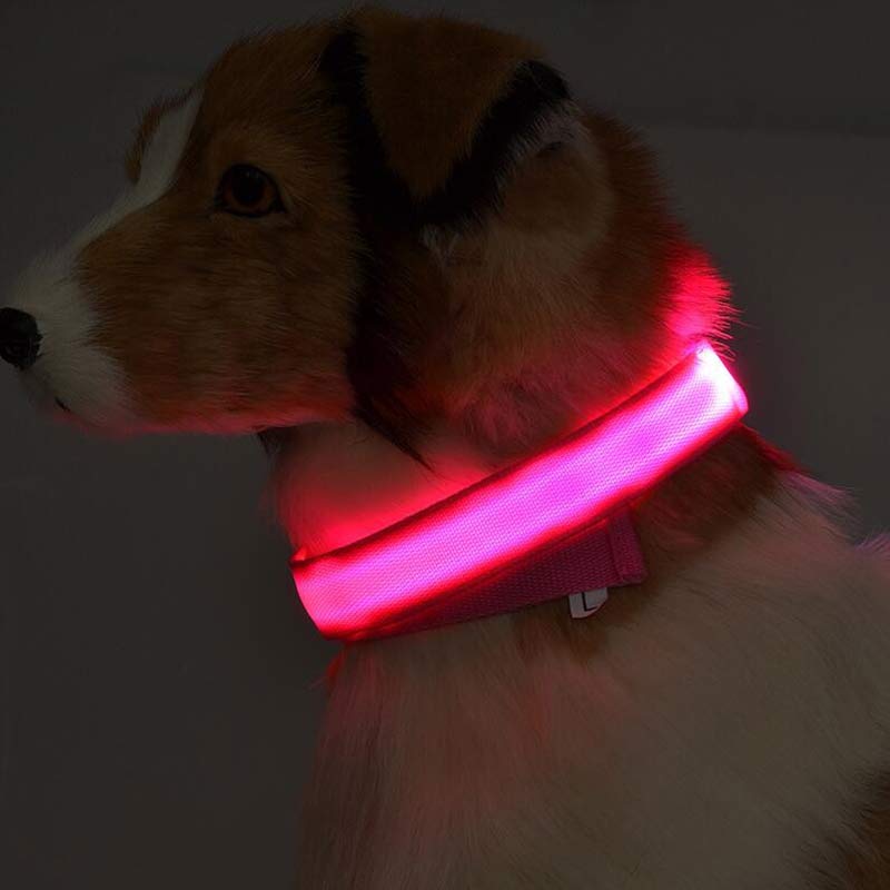 LED Dog Luminous Collar