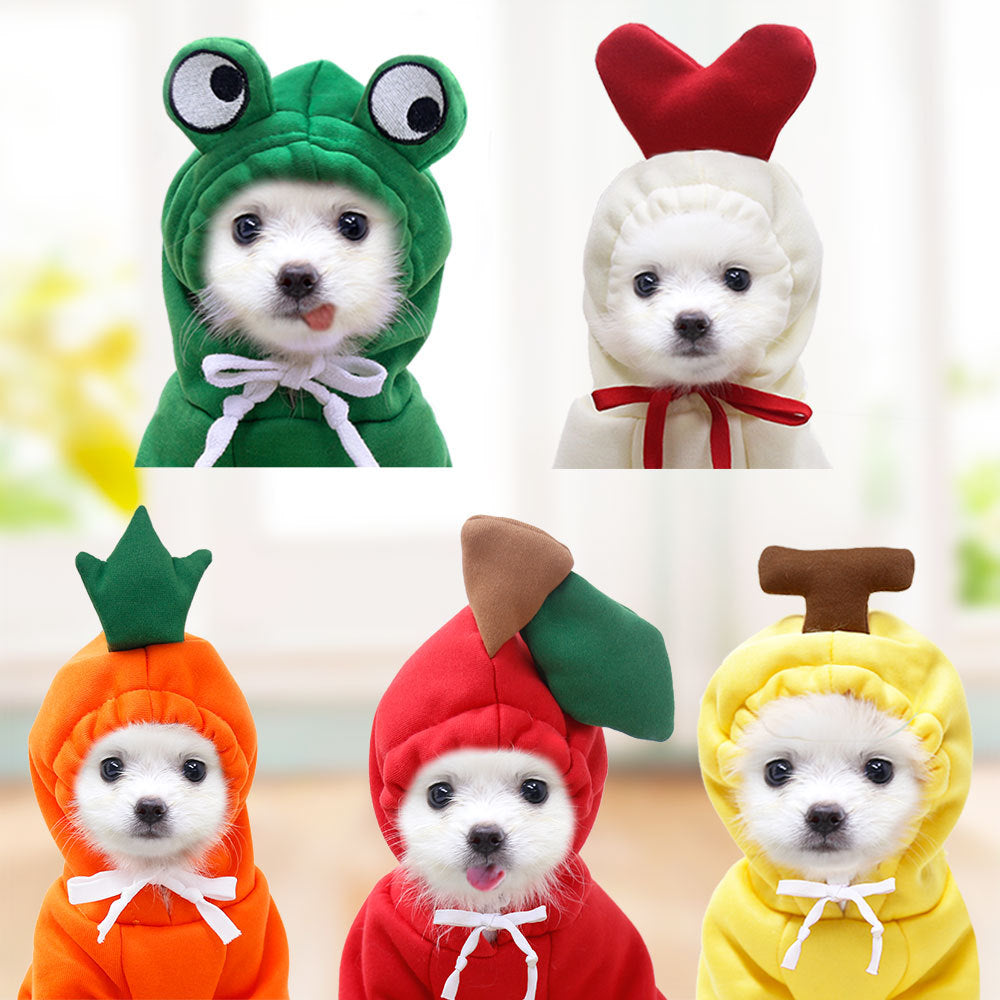 Cute Fruit Dog Clothes