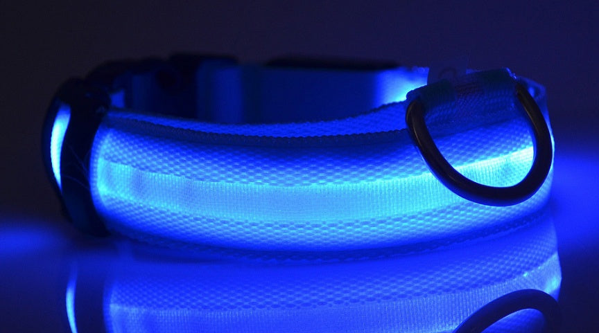 LED Dog Luminous Collar