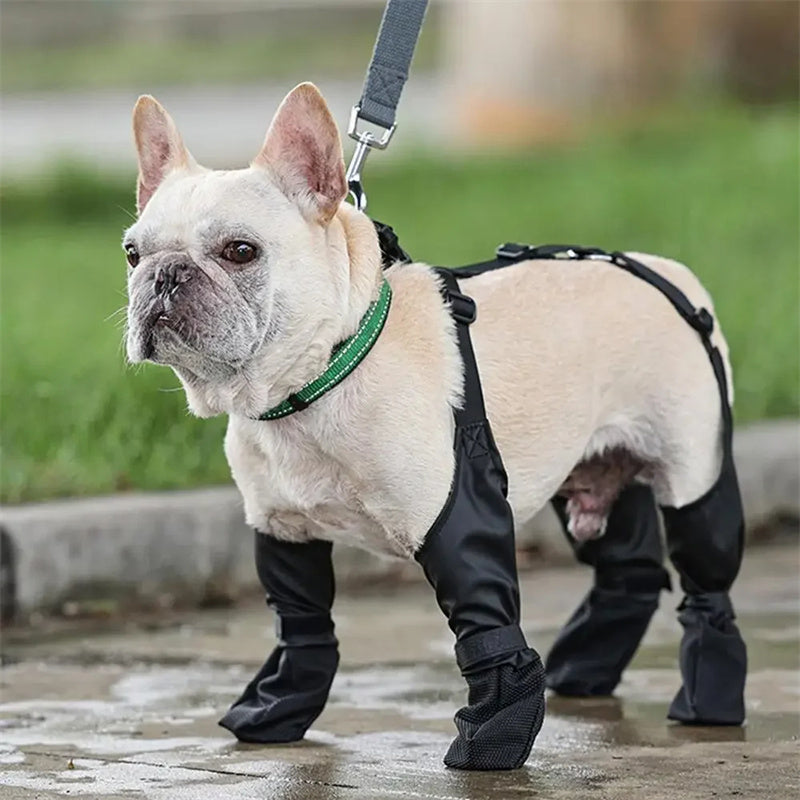 Adjustable Waterproof Dog Shoes