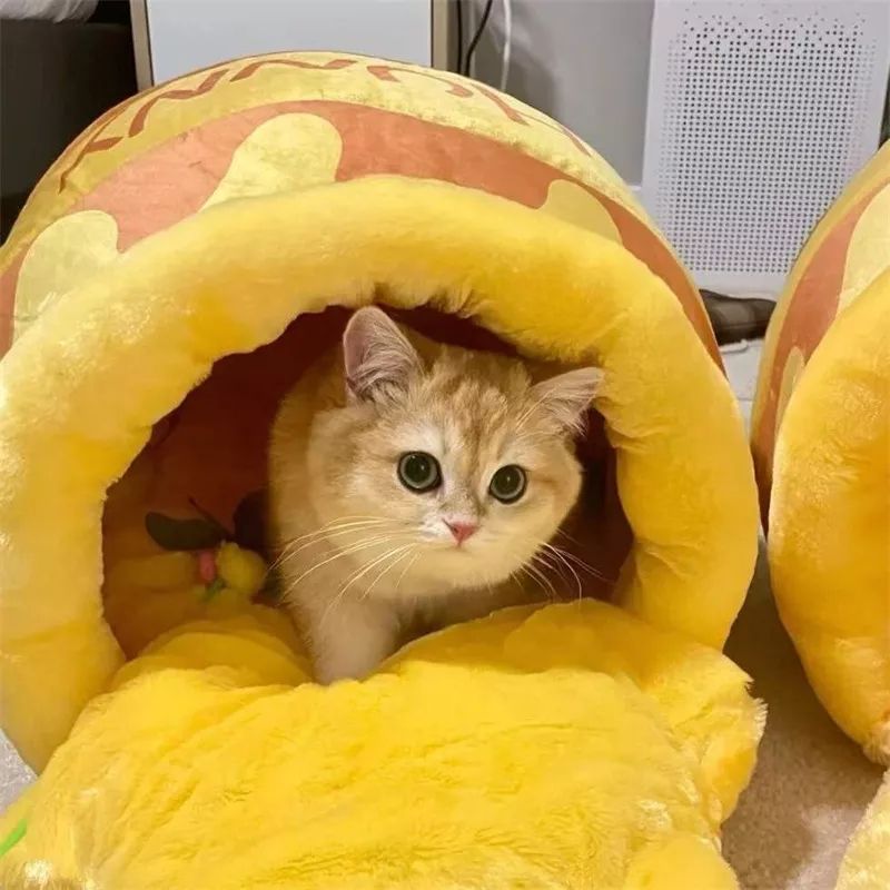 Honey Jar Cat Kennel