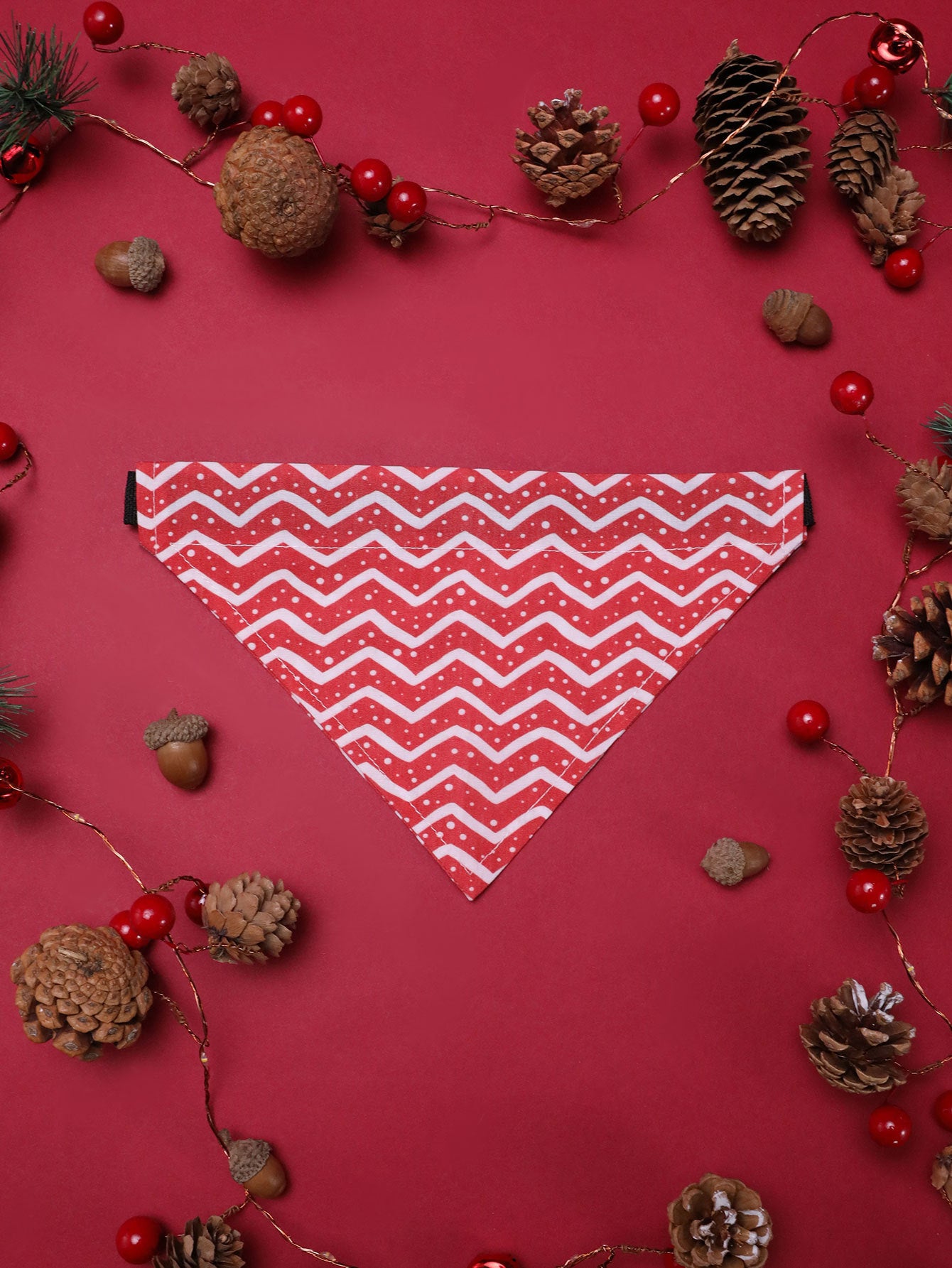 Christmas Dog Accessories