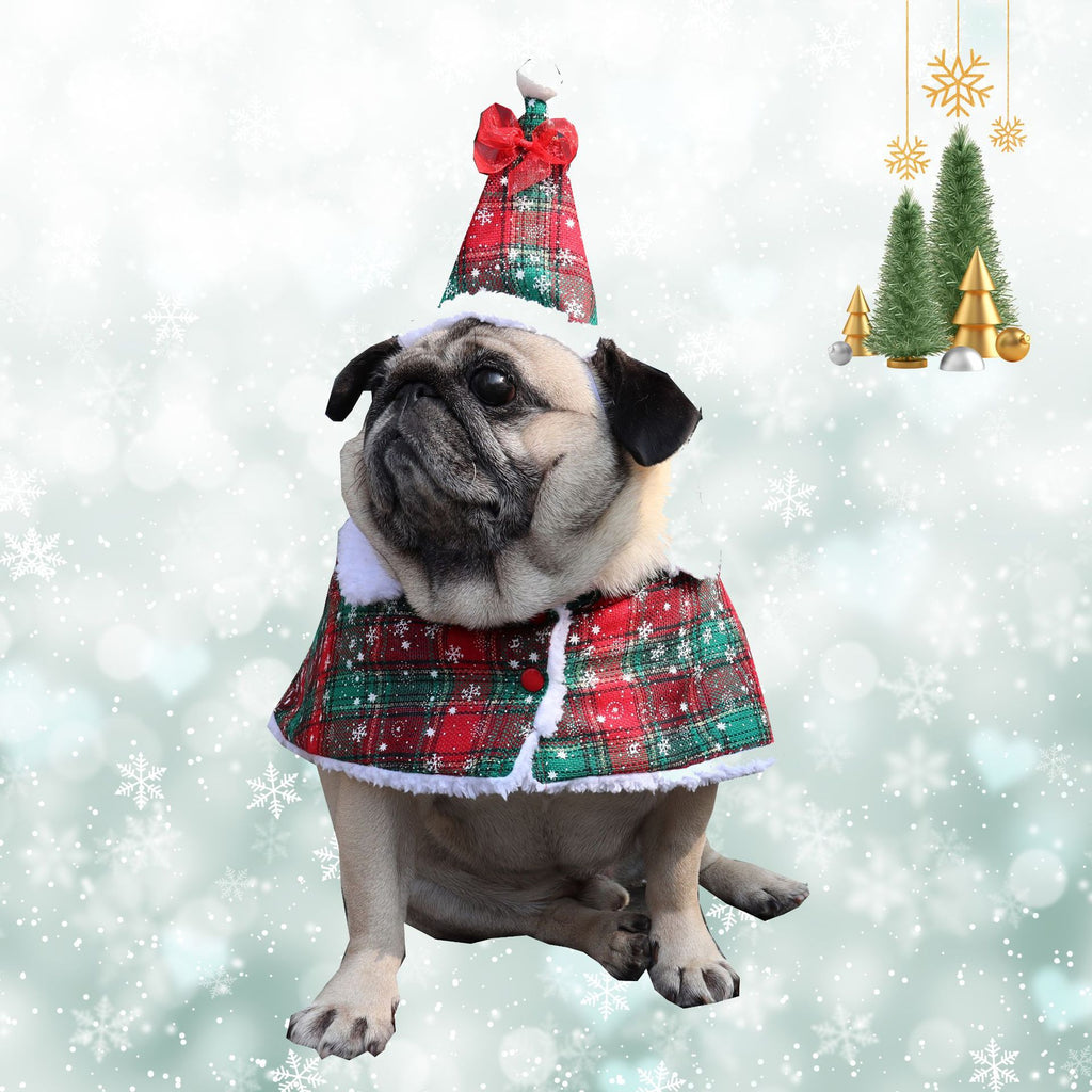 Christmas pet clothing