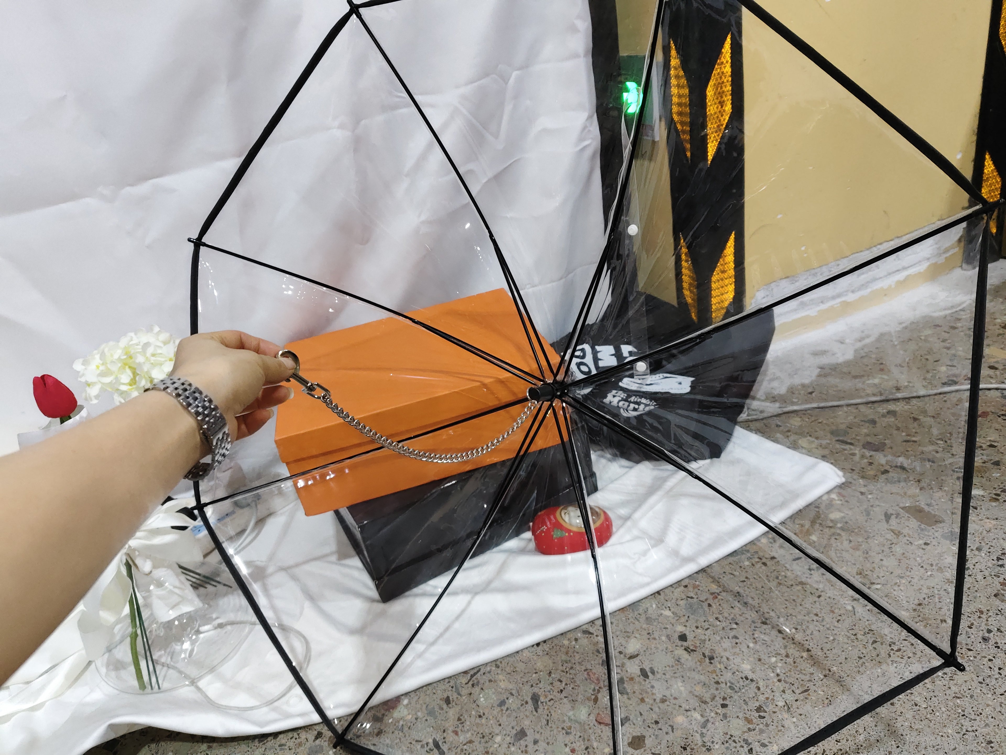 Transparent Adjustable Umbrella for Dogs